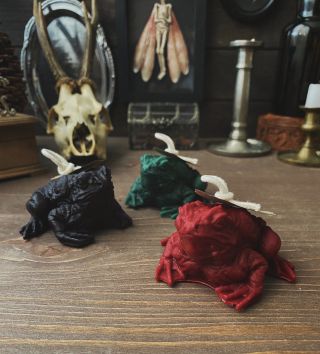 🕯 Novinky 🕯 Nově na e-shopu najdete svíčky ze včelího vosku ve tvaru: 🐸 žáby 👶 hlavy 🦷 zubu Tak utíkej mrknout. 🖤 #svicka...